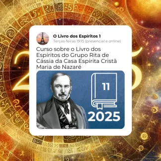 11-2025